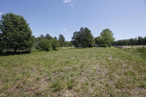 435 Doctors Creek Rd, Willard, NC 28478 photo 22