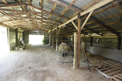 435 Doctors Creek Rd, Willard, NC 28478 photo 31