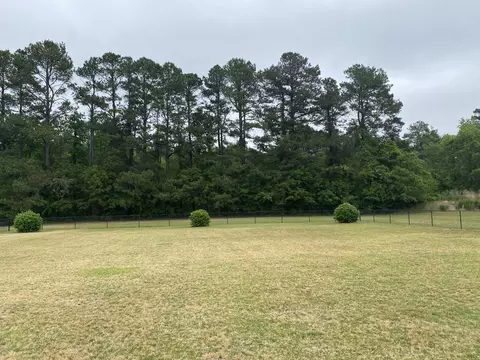 6550 Dolphus Ln, Sims, NC 27880 photo 46