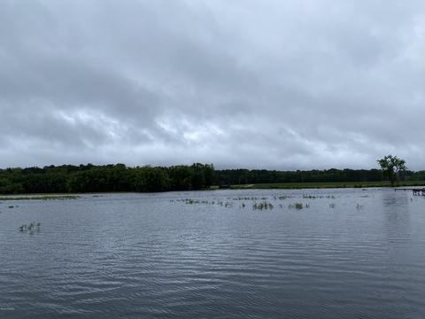 5501 Adrian Rd, Wilson, NC 27896 photo 2