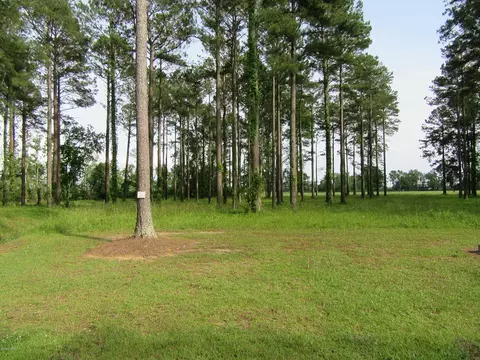 149 Frying Pan Loop Rd, Oriental, NC 28571 photo 1