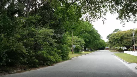 220 Dobbs St, Wilmington, NC 28412 photo 2