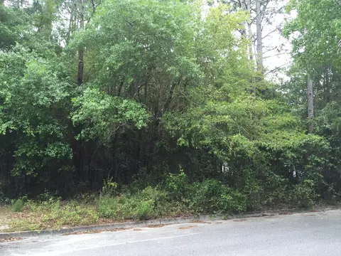 220 Dobbs St, Wilmington, NC 28412 photo 1