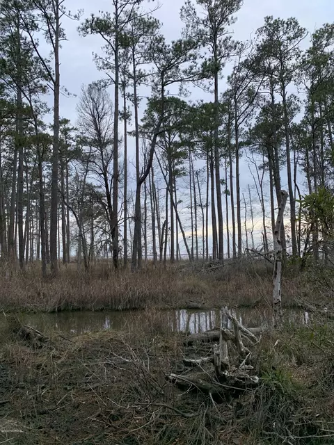 lot Apt 6 State Rd 1902 Off Dr, Aurora, NC 27806
