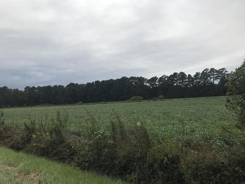0000 Hwy #41, Wallace, NC 28466