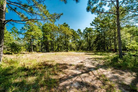260 E Ivybridge Dr, Hubert, NC 28539 photo 11