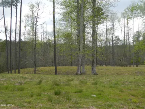 108 Nanticoke Ct, Chocowinity, NC 27817 photo 1