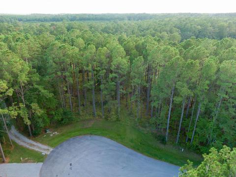 762 Bent Tree Rd, Oriental, NC 28571 photo 3