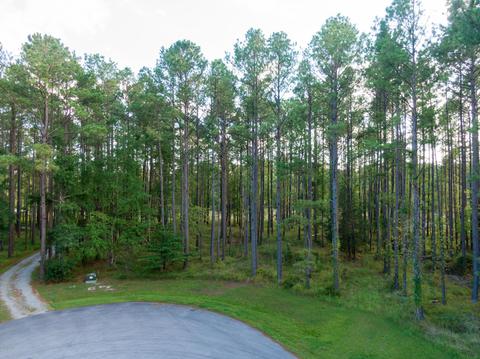 762 Bent Tree Rd, Oriental, NC 28571 photo 2