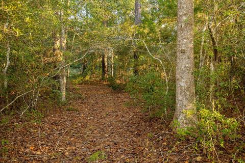 154 Beagle Dr, Hubert, NC 28539 photo 8