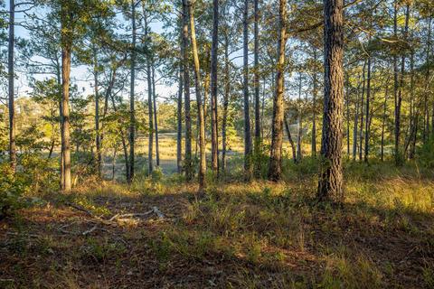 154 Beagle Dr, Hubert, NC 28539 photo 9