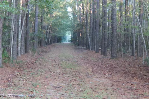 346 Spring Dr, Aurora, NC 27806 photo 2