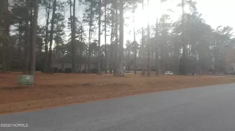 101 Mullica Dr, Chocowinity, NC 27817 photo 3