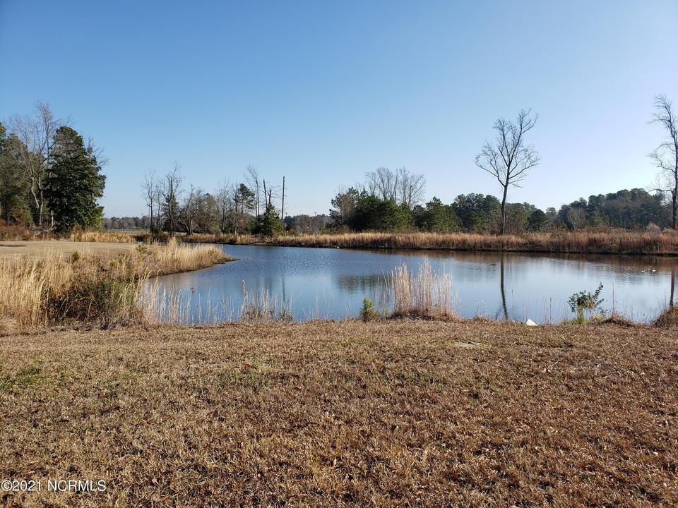  10 Caribou Ct, Lake Waccamaw, NC 28450 photo 16