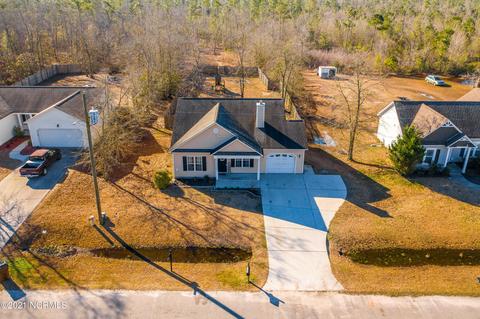 113 Blueberry Fields Rd, Maple Hill, NC 28454 photo 35