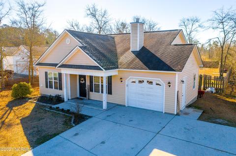 113 Blueberry Fields Rd, Maple Hill, NC 28454 photo 38