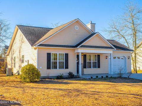 113 Blueberry Fields Rd, Maple Hill, NC 28454 photo 2