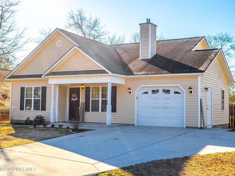 113 Blueberry Fields Rd, Maple Hill, NC 28454 photo 3