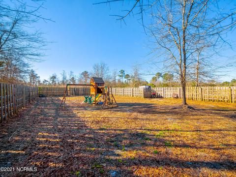 113 Blueberry Fields Rd, Maple Hill, NC 28454 photo 28