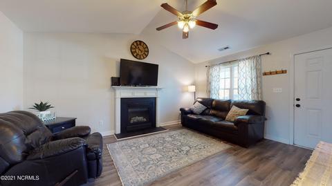 113 Blueberry Fields Rd, Maple Hill, NC 28454 photo 6