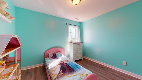113 Blueberry Fields Rd, Maple Hill, NC 28454 photo 19