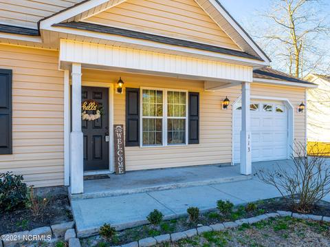 113 Blueberry Fields Rd, Maple Hill, NC 28454 photo 4
