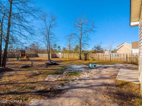 113 Blueberry Fields Rd, Maple Hill, NC 28454 photo 27