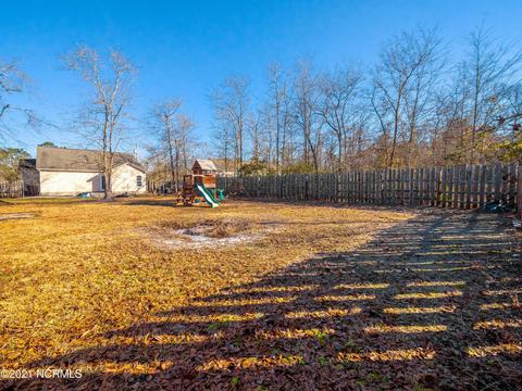 113 Blueberry Fields Rd, Maple Hill, NC 28454 photo 26