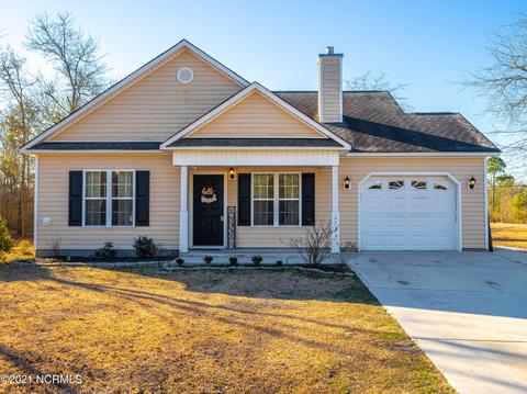 113 Blueberry Fields Rd, Maple Hill, NC 28454 photo 1