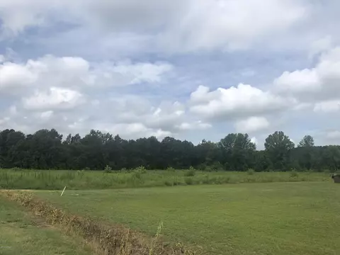 14 Whispering Pines Ln, Magnolia, NC 28453