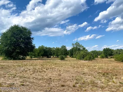 651 Freeman Mill Rd, Hamlet, NC 28345 photo 9