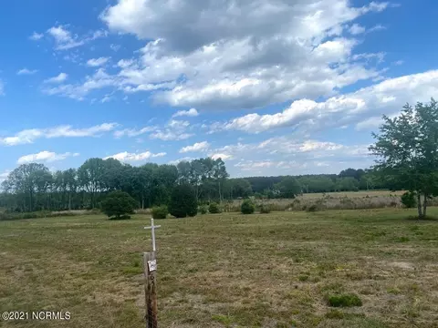 651 Freeman Mill Rd, Hamlet, NC 28345 photo 5