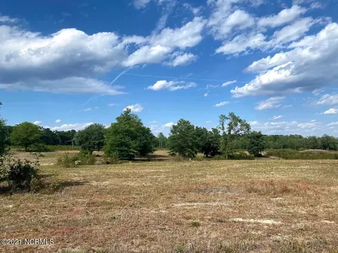 651 Freeman Mill Rd, Hamlet, NC 28345 photo 2