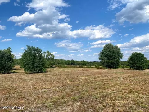 651 Freeman Mill Rd, Hamlet, NC 28345 photo 10