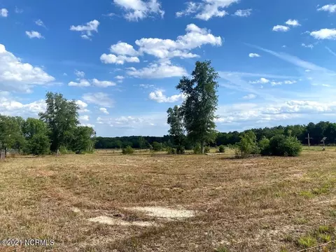 651 Freeman Mill Rd, Hamlet, NC 28345 photo 11