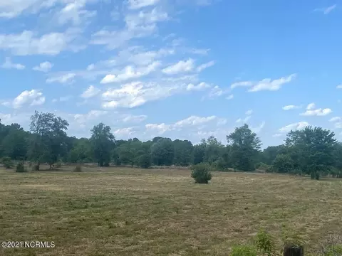 651 Freeman Mill Rd, Hamlet, NC 28345 photo 7