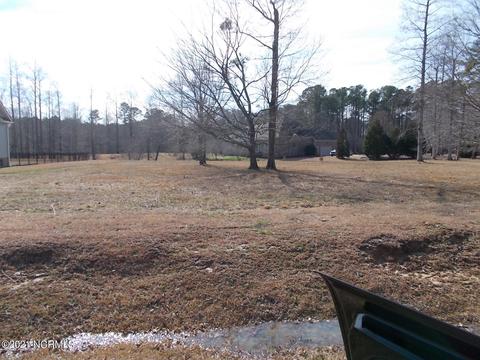 102 Nanticoke Ct, Chocowinity, NC 27817 photo 2