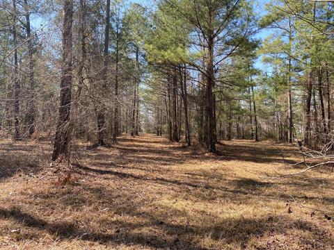 182 Cellars Way, Wallace, NC 28466 photo 3