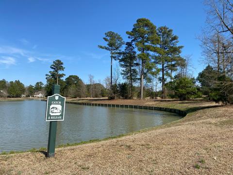 182 Cellars Way, Wallace, NC 28466 photo 4