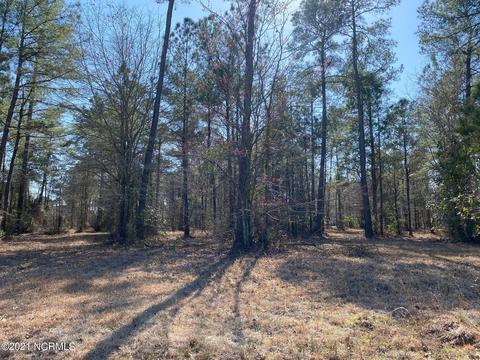 182 Cellars Way, Wallace, NC 28466 photo 2