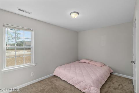 316 Sinclair Ln, Hubert, NC 28539 photo 17