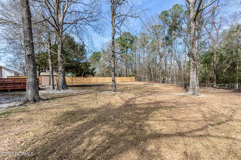 106 Fodder Dr, Hubert, NC 28539 photo 59