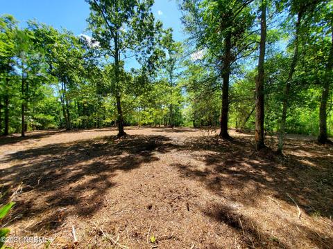 445 Tarpon Pointe Rd, Bath, NC 27808 photo 3