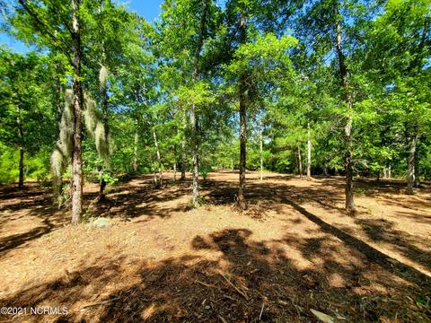 445 Tarpon Pointe Rd, Bath, NC 27808 photo 8