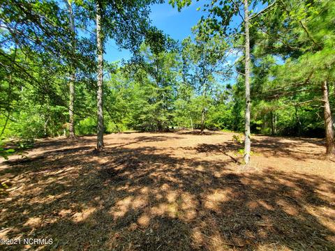 445 Tarpon Pointe Rd, Bath, NC 27808 photo 9