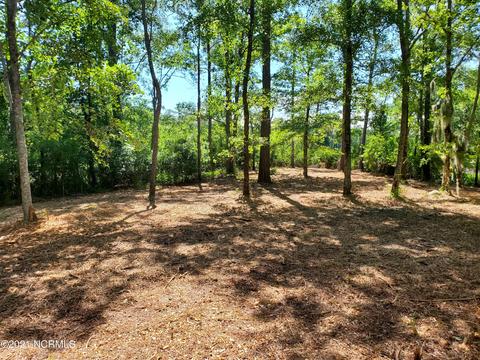 445 Tarpon Pointe Rd, Bath, NC 27808 photo 4