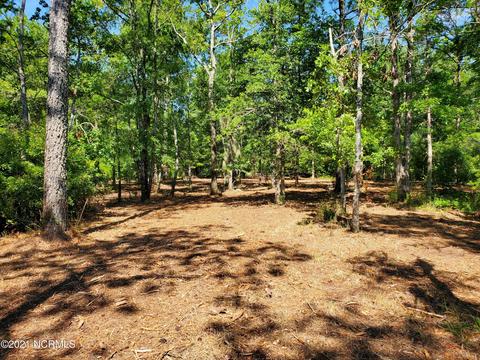445 Tarpon Pointe Rd, Bath, NC 27808 photo 5
