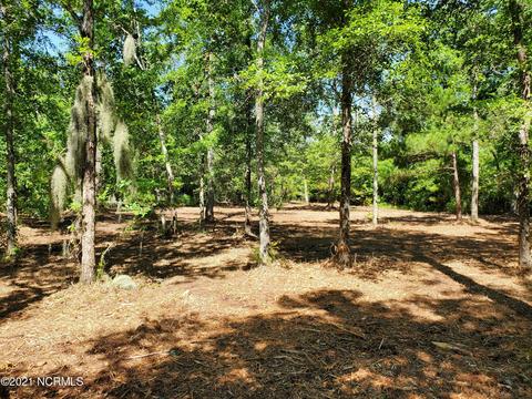 445 Tarpon Pointe Rd, Bath, NC 27808 photo 6