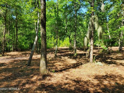 445 Tarpon Pointe Rd, Bath, NC 27808 photo 7