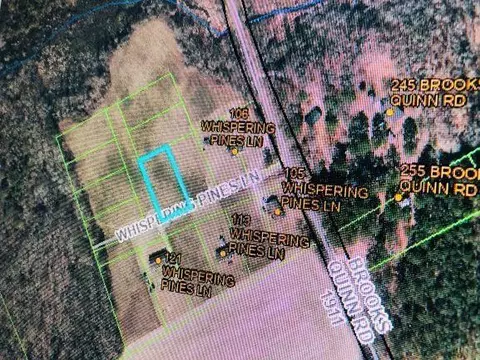 13 Whispering Pines Ln, Magnolia, NC 28453